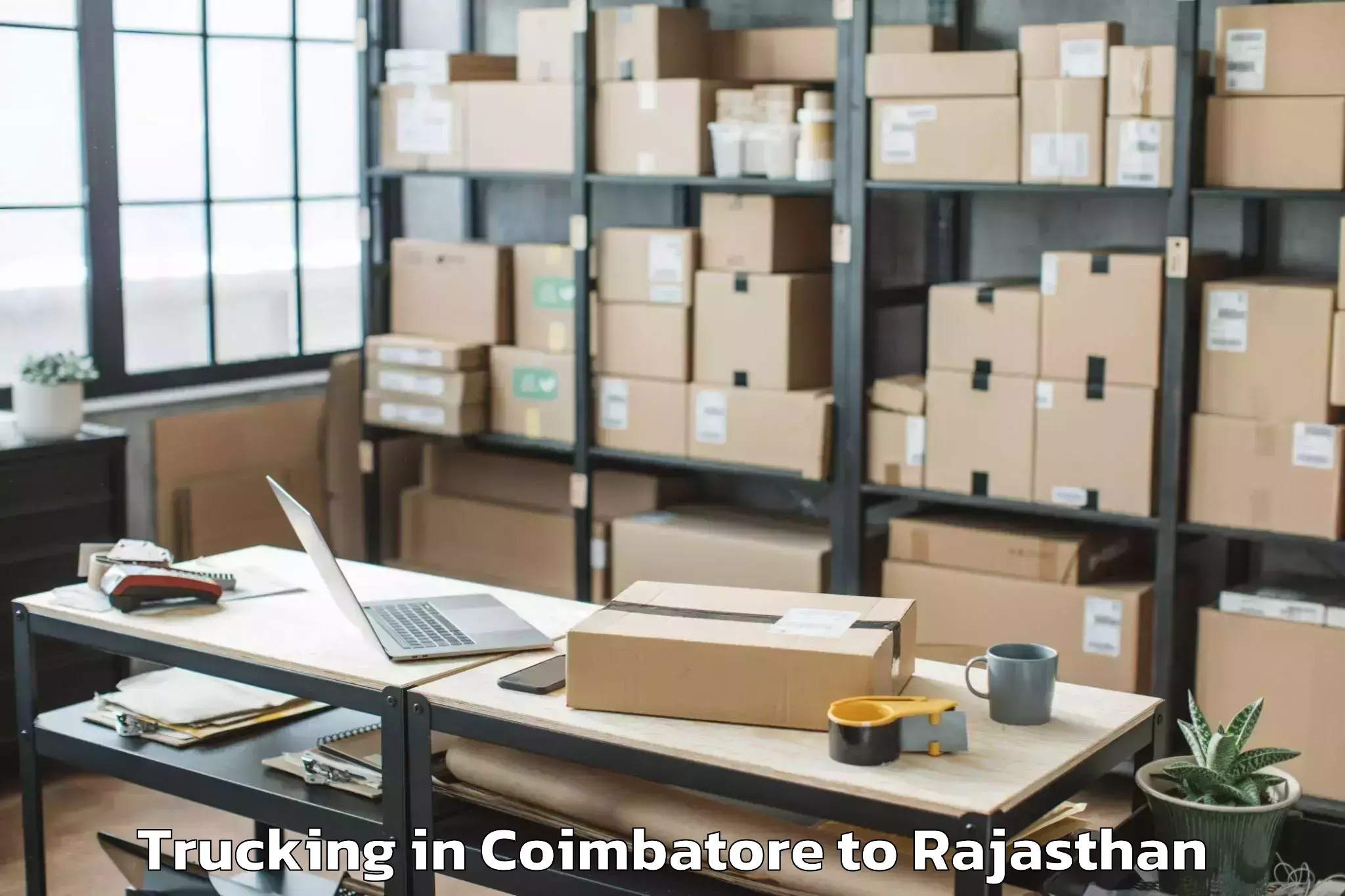 Comprehensive Coimbatore to Kishangarh Trucking